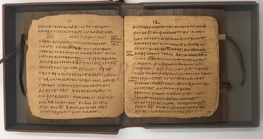 Diario di papiro, Diario in pelle di papiro